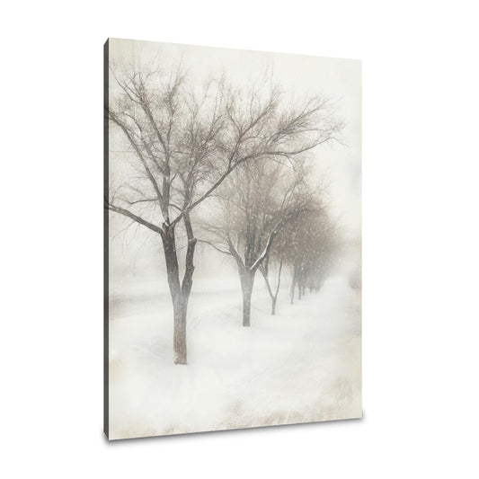 Enchanted Winter Trees Canvas - Main Image