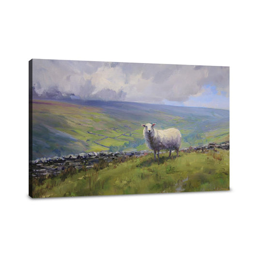 Sheep on Yorkshire Canvas - Main Image