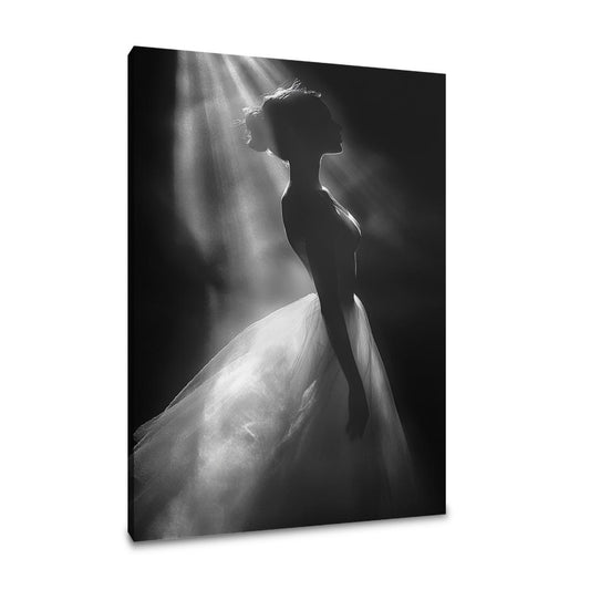 Spotlight Elegance Canvas - Main Image