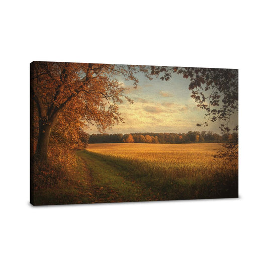Golden Autumn Dusk Canvas - Main Image