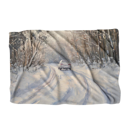 Verschneites Auto auf Winterdecke