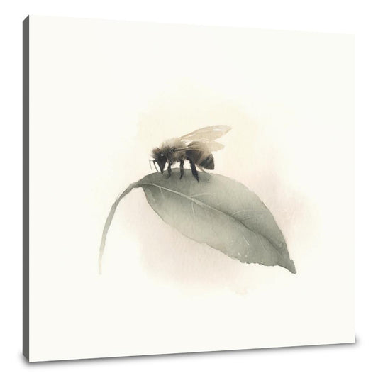 Bee's Quiet Moment Canvas - Main Image