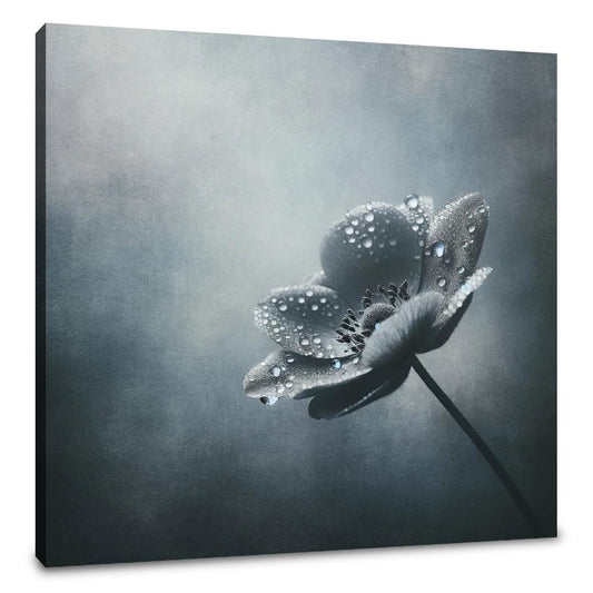 Dew-Kissed Solitude Canvas - Main Image