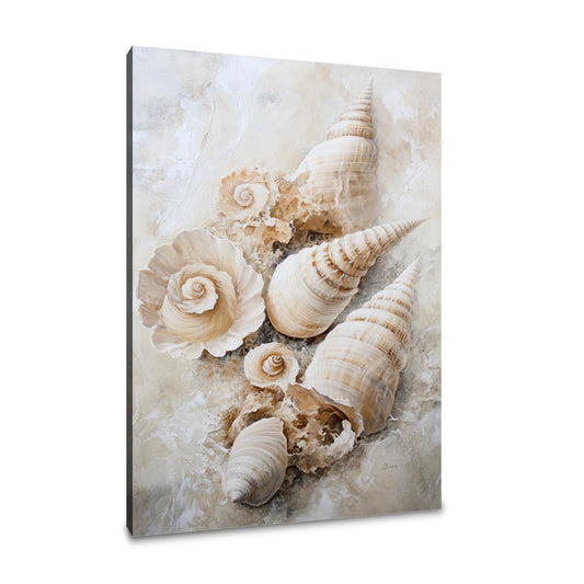 Shell Spiral Elegance Canvas - Main Image