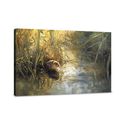 Water Vole Reverie Canvas - Main Image