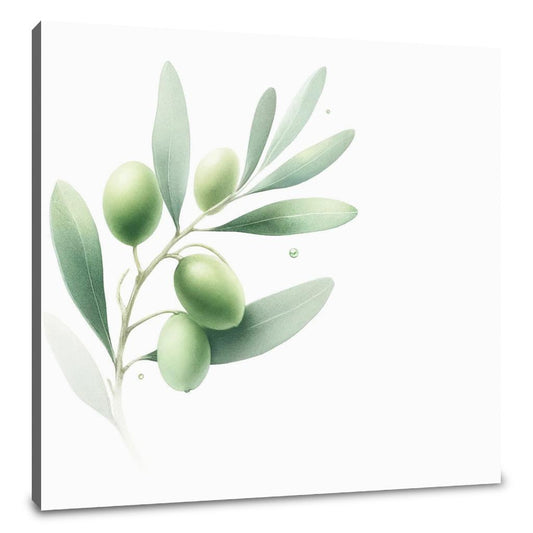 Ethereal Olive Branch Canvas - Main Image