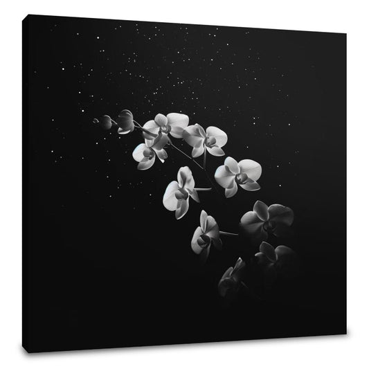 Ethereal Orchid Canvas - Main Image