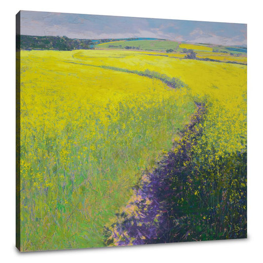 Yorkshire Pathway Canvas - Main Image