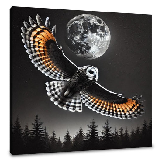 Nocturnal Flight Canvas - Main Image