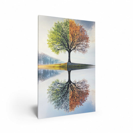 Seasons Reflected Acrylic Print Hero Image