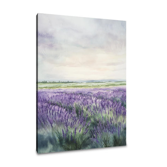 Melancholic Lavender Fields Canvas - Main Image