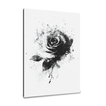 Monochrome Rose Elegance Canvas - Main Image