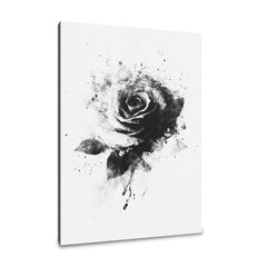 Monochrome Rose Elegance Canvas - Main Image