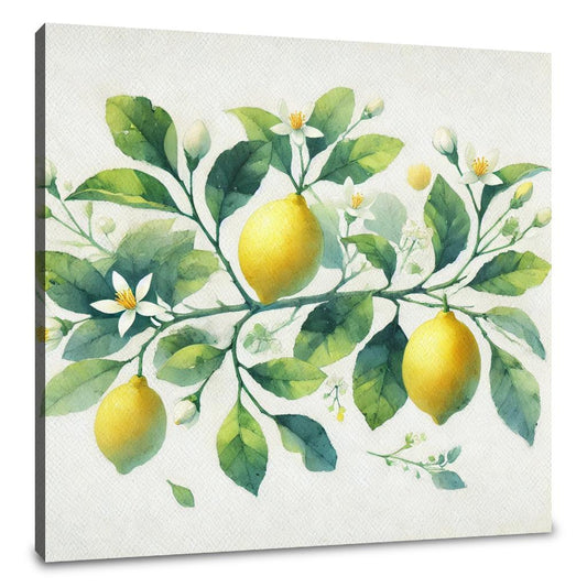 Lemon Blossom Watercolour Canvas - Main Image