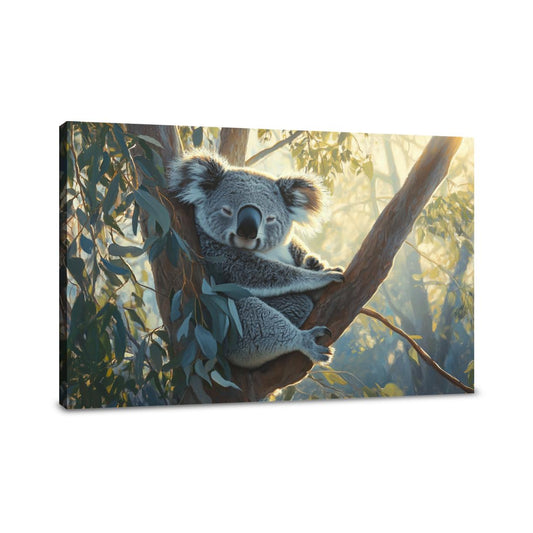Koala Dawn Canvas - Main Image
