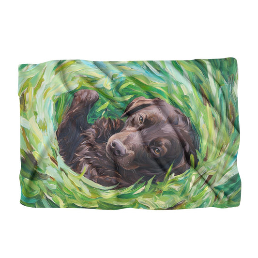 Labrador in fröhlicher Decke