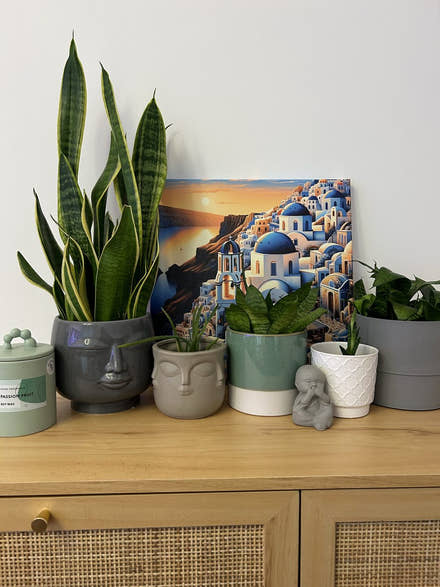 Home Art Haven customer review photo