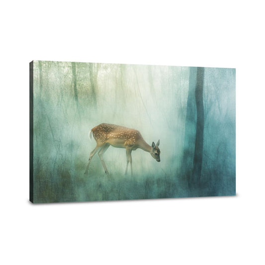 Muntjac Deer Serenity Canvas - Main Image