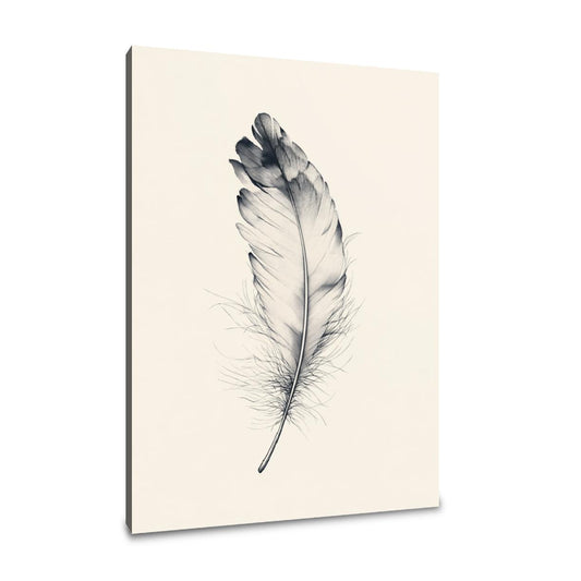 Ethereal Feather Canvas - Main Image