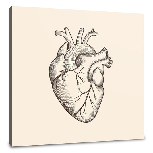 Heart Anatomy Canvas - Main Image