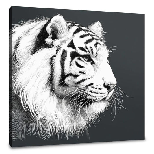 Regal Tiger Canvas - Main Image