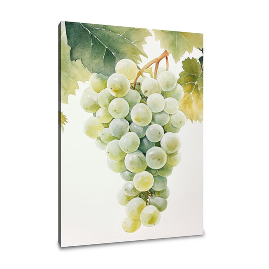 Vintage Vineyard Canvas - Main Image