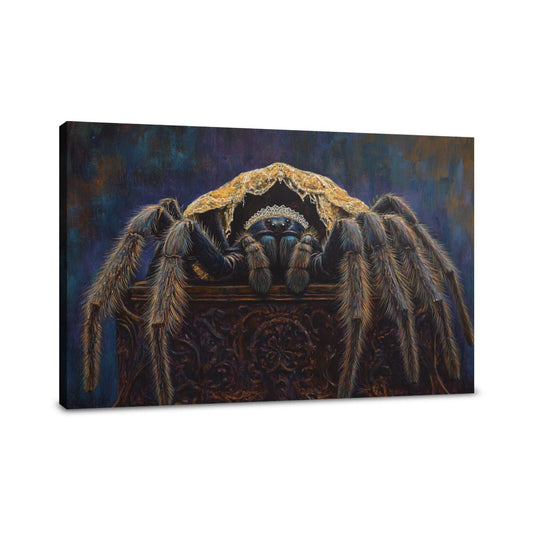 Regal Tarantula Canvas - Main Image